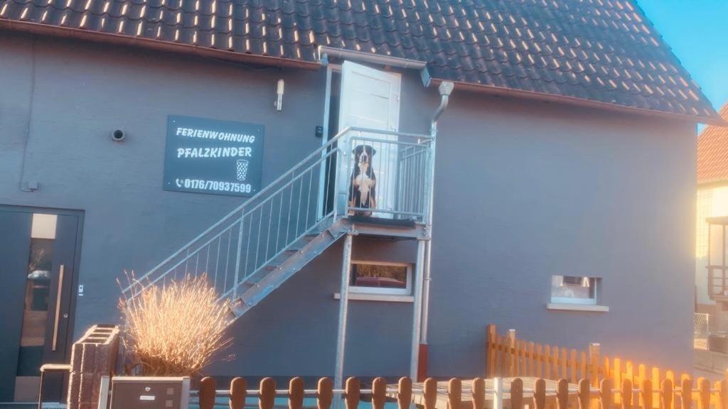 Pfalzkinder Neustadt an der Weinstraße Kültér fotó